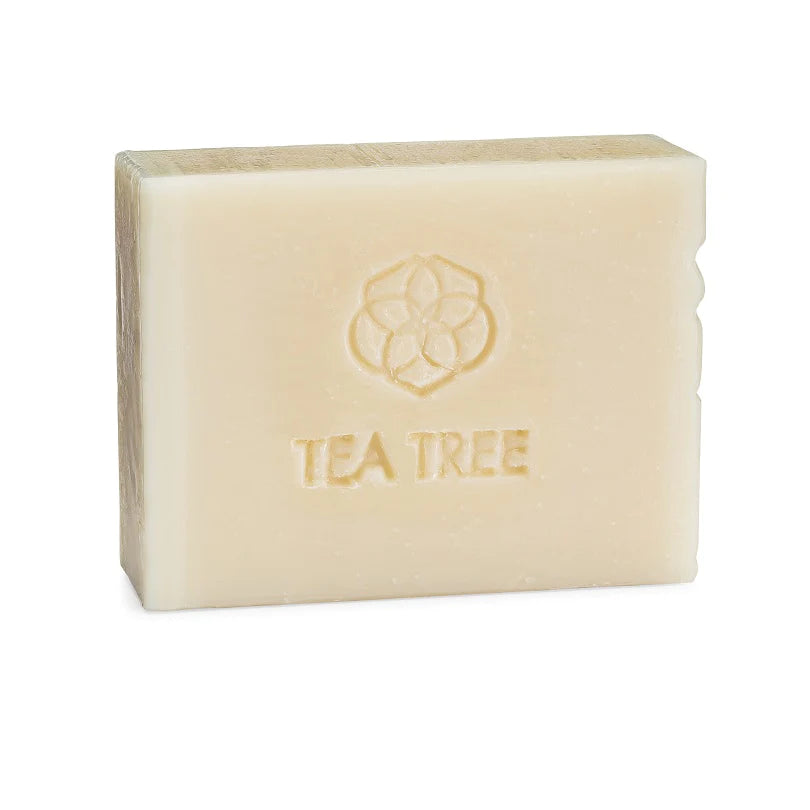 Tea Tree Bar Soap - Off the Bottle Refill Shop