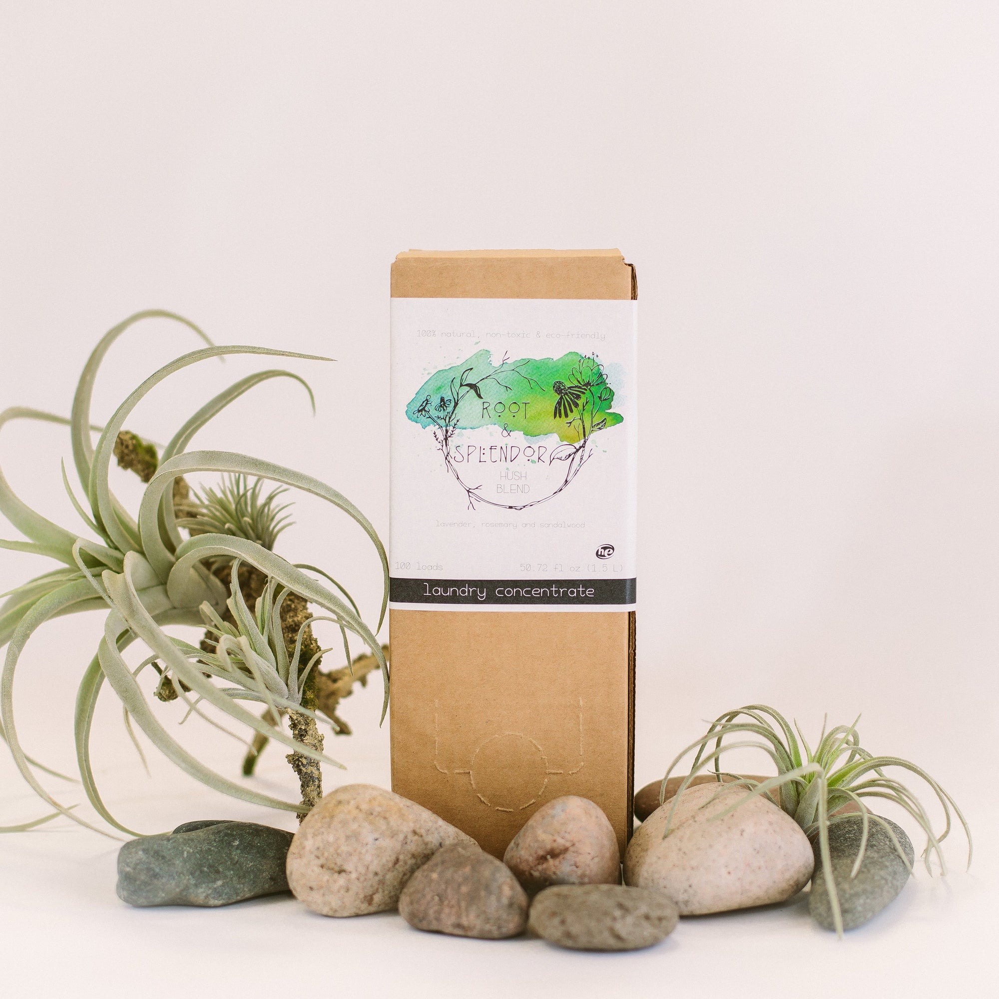 Root and Splendor Laundry Concentrate