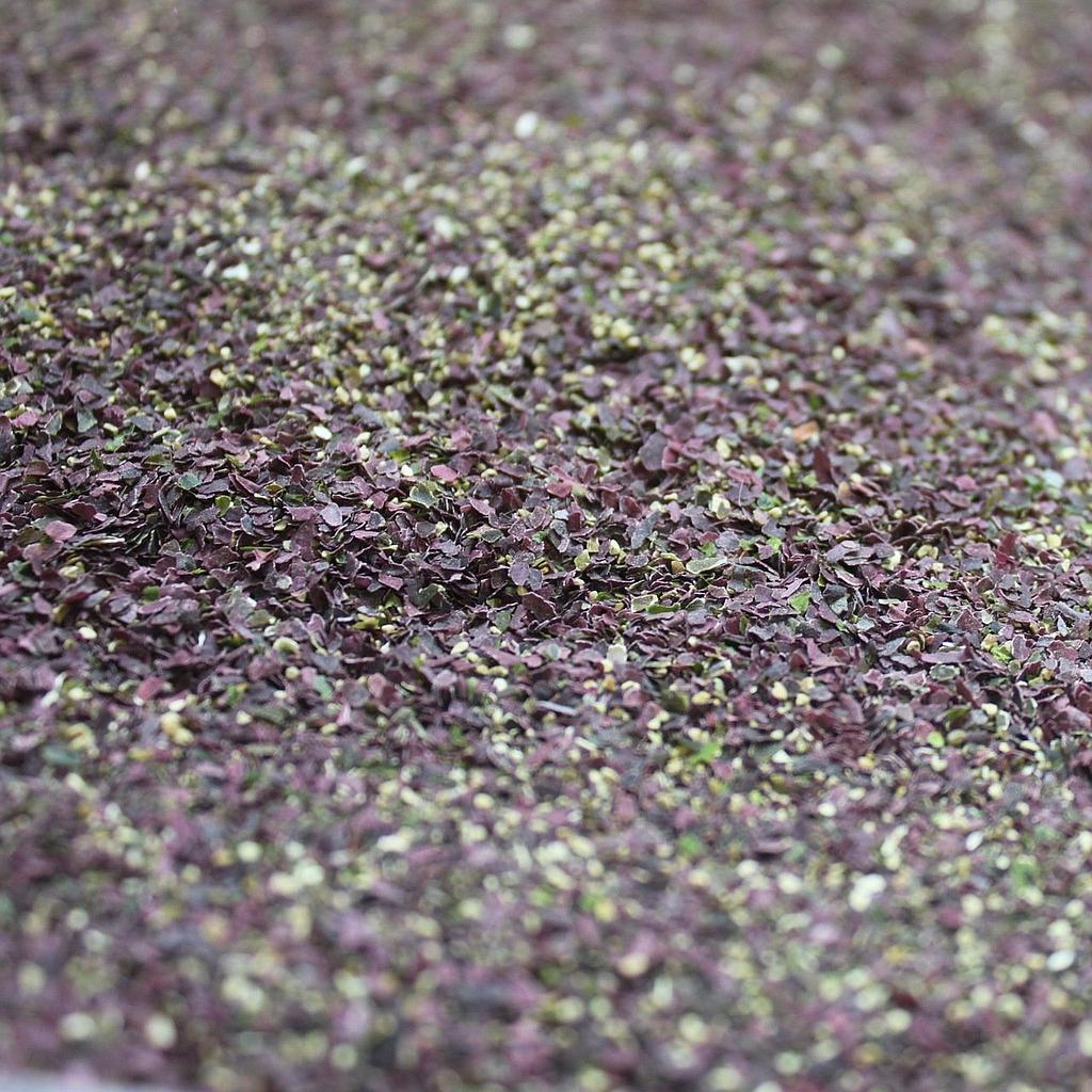 Organic Seven Seas Seaweed Blend