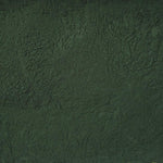 Spirulina Powder