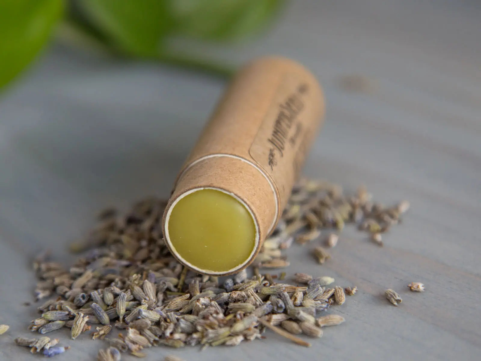 Chai Spice Lip Balm - Off the Bottle Refill Shop