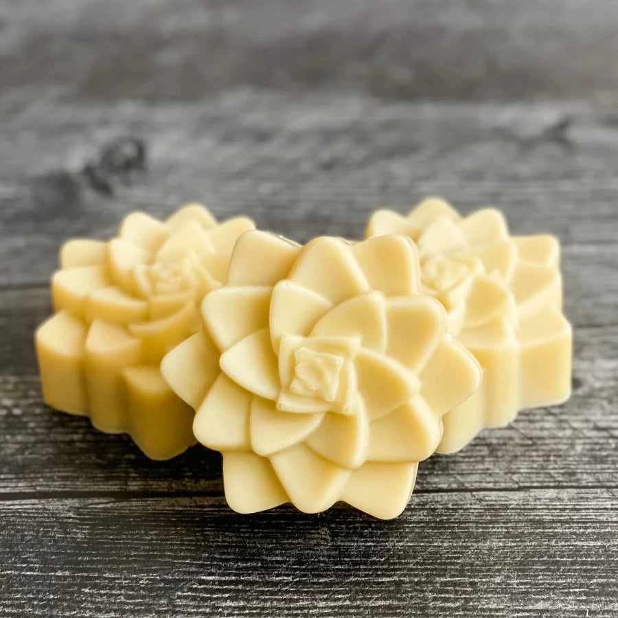 Face Cleanser Flower Bar - Aloe & Oatmeal - Off the Bottle Refill Shop