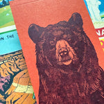 Blackbird Letterpress jotter notebook with black cover and lined pages, ideal for note-taking and writing.