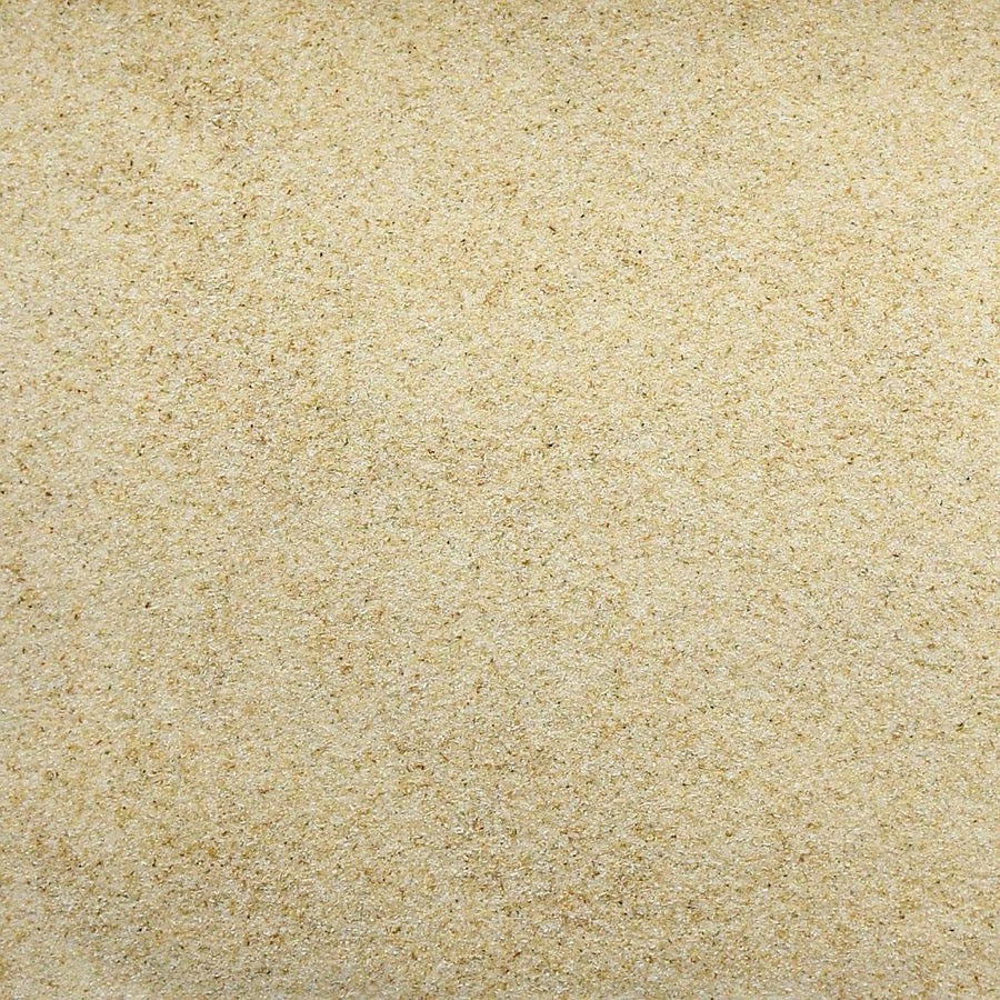 ONIO Onion Powder - Off the Bottle Refill Shop