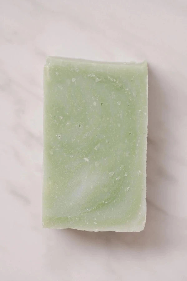 Aloe Coconut Milk Bar Soap - Off the Bottle Refill Shop