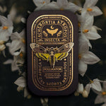 “Pinsect” Educational Insect Pins