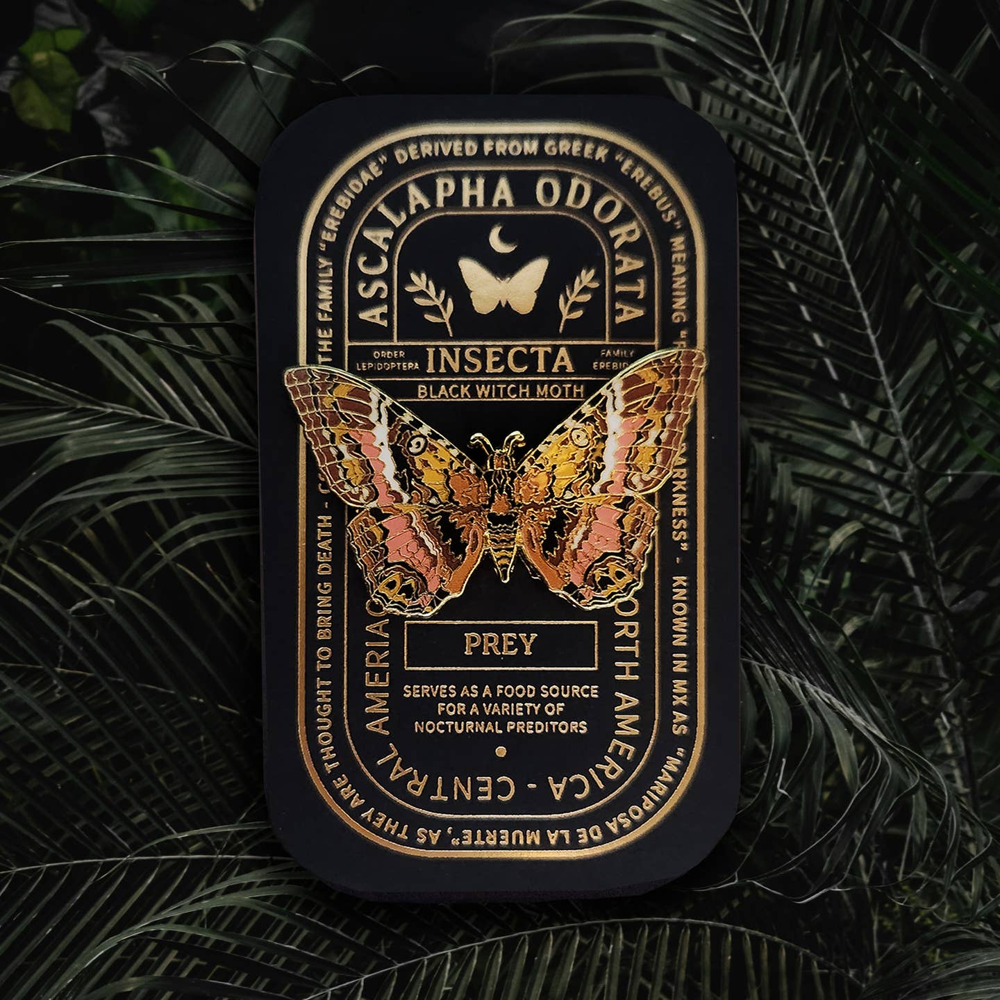 “Pinsect” Educational Insect Pins