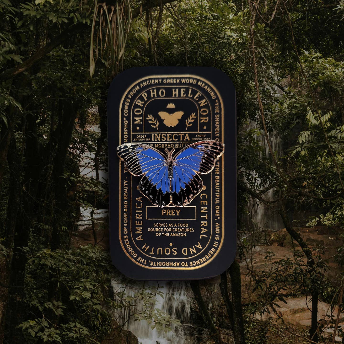 “Pinsect” Educational Insect Pins