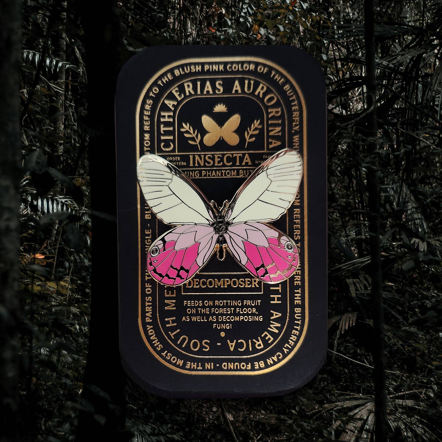 “Pinsect” Educational Insect Pins