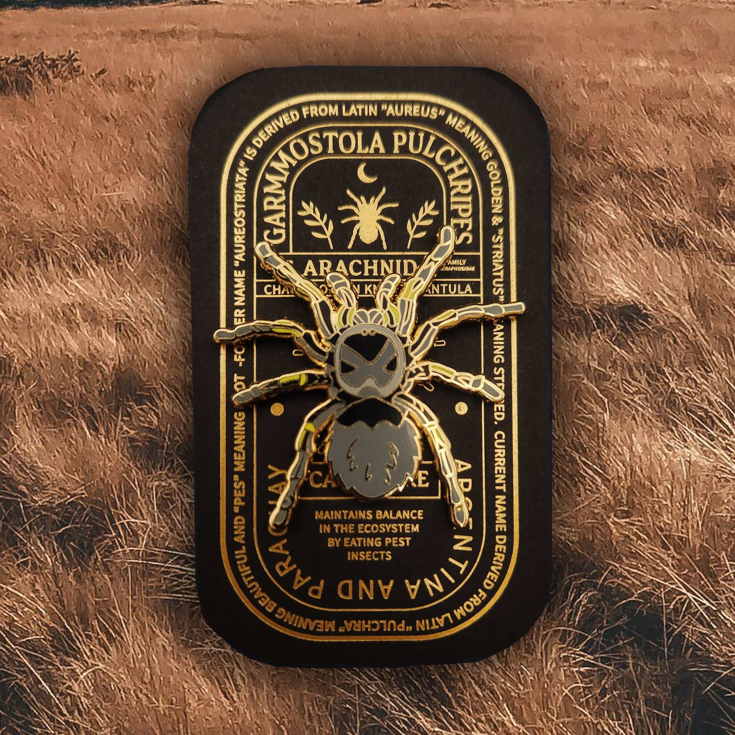 “Pinsect” Educational Insect Pins