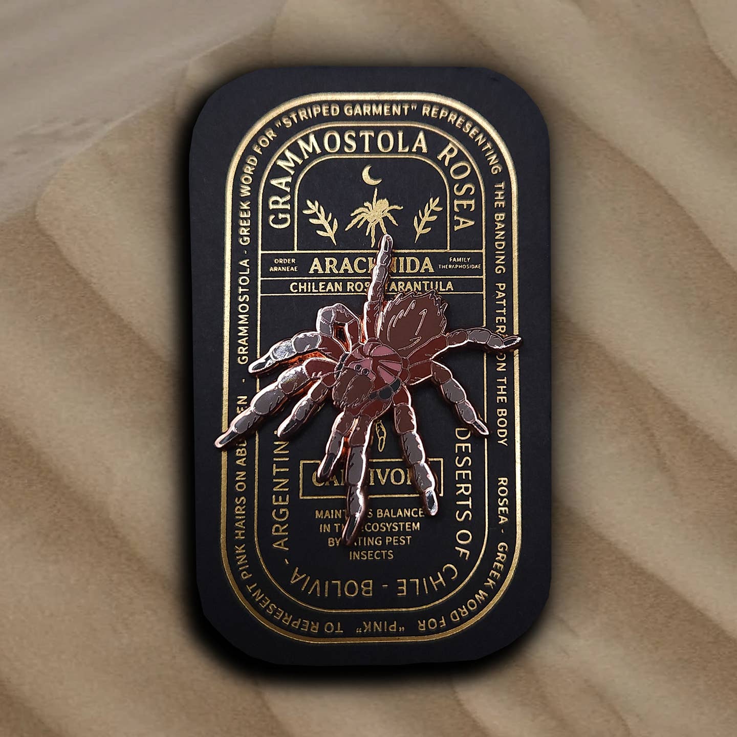 “Pinsect” Educational Insect Pins