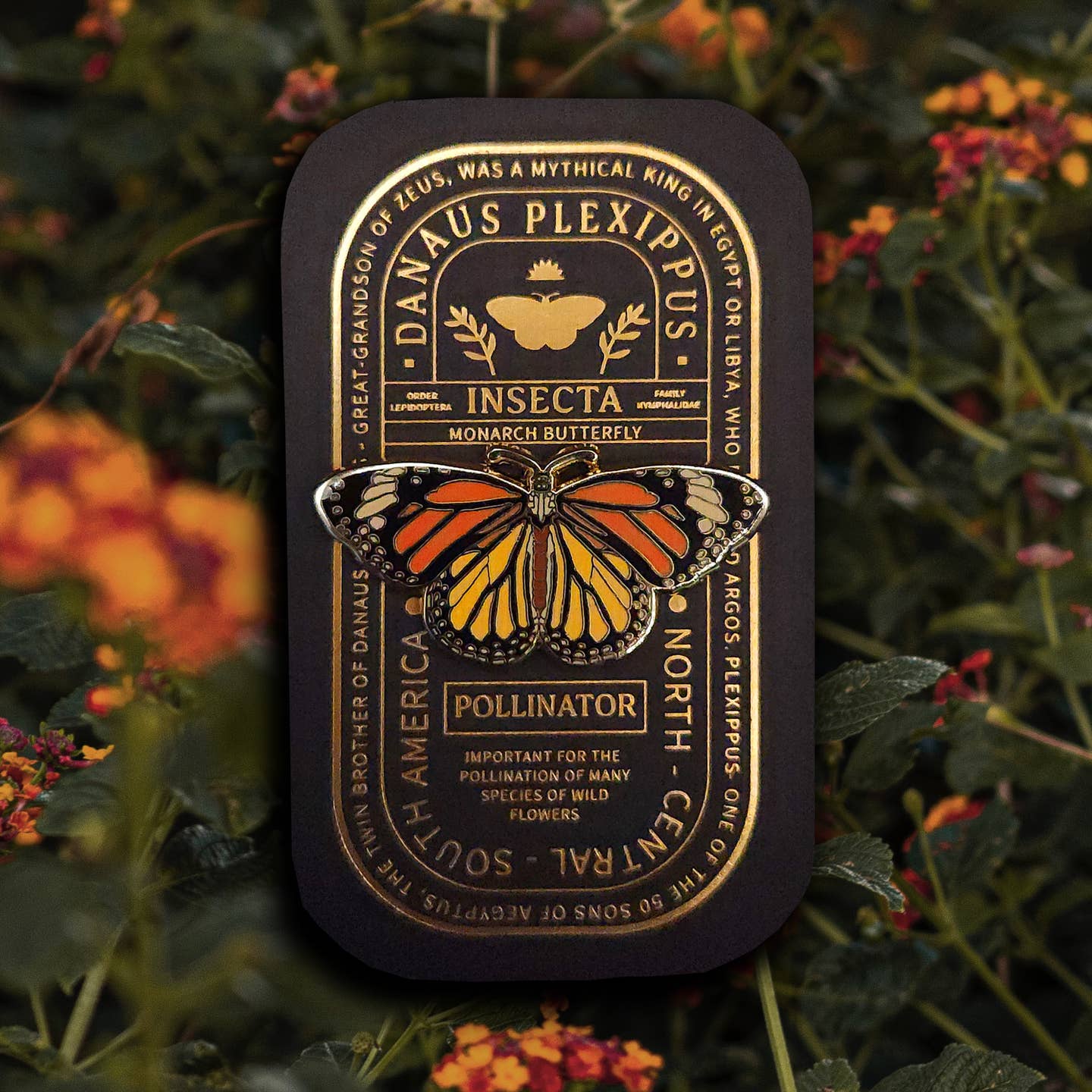 “Pinsect” Educational Insect Pins