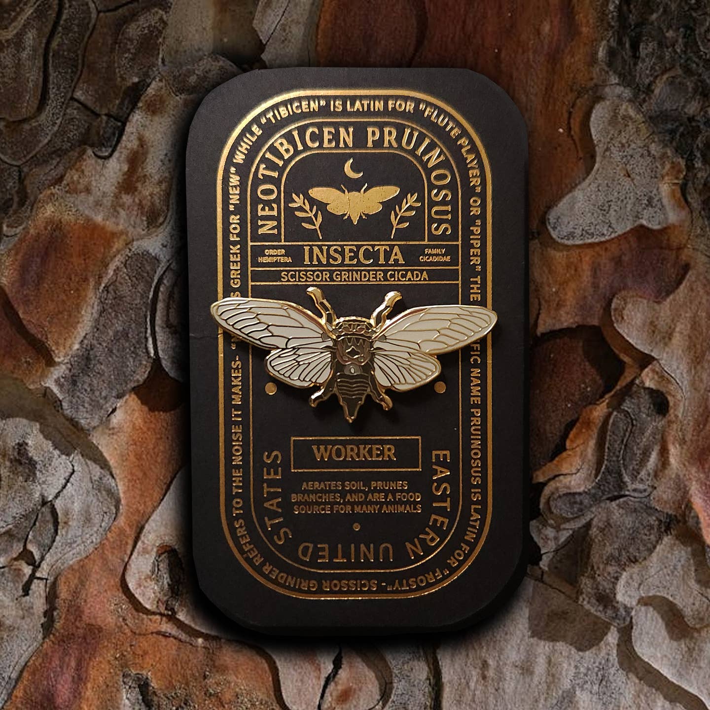 “Pinsect” Educational Insect Pins