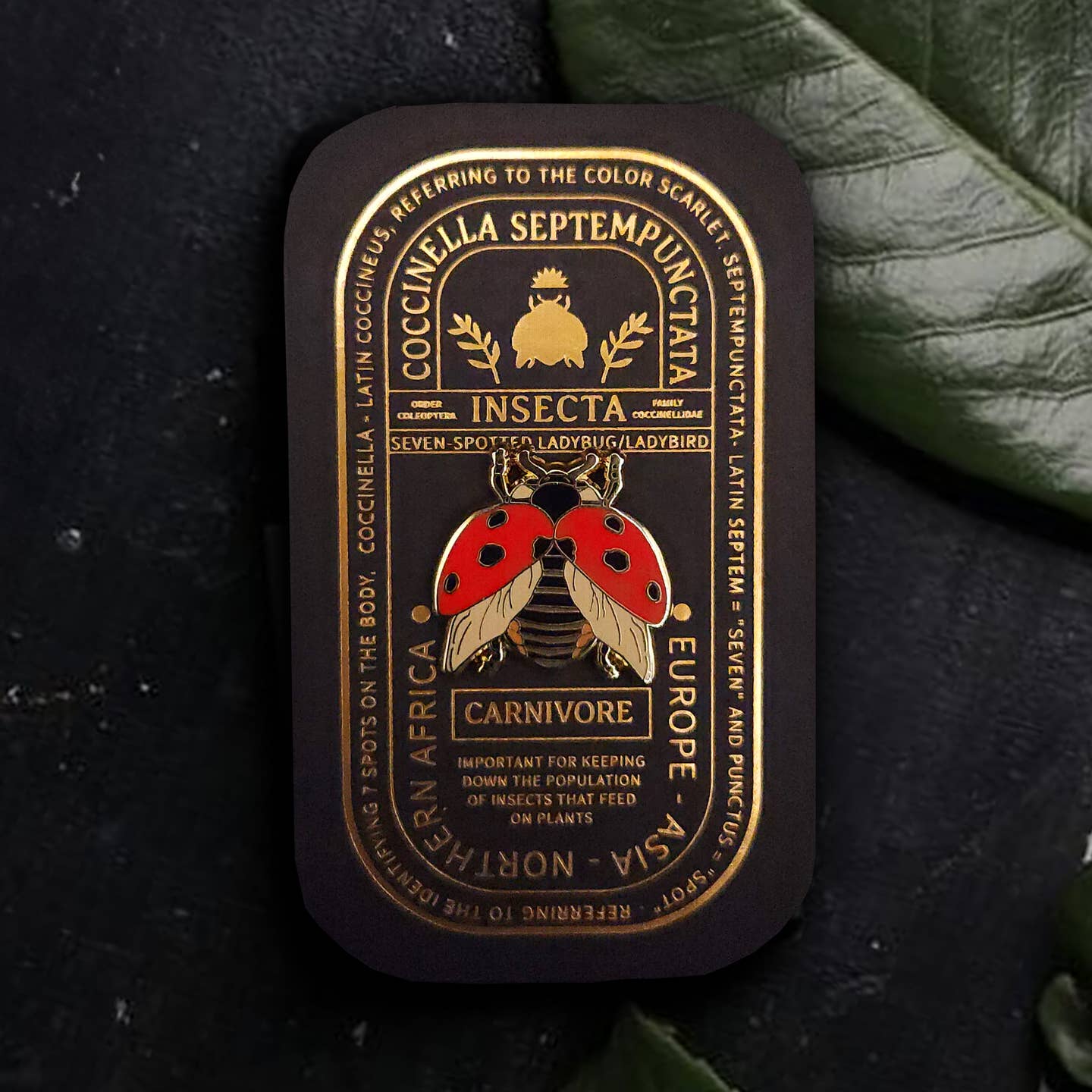 “Pinsect” Educational Insect Pins