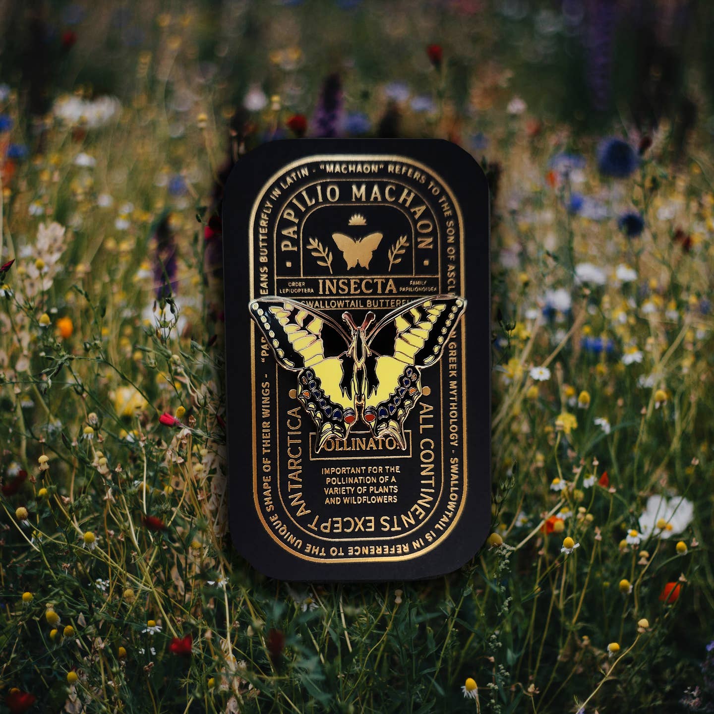 “Pinsect” Educational Insect Pins