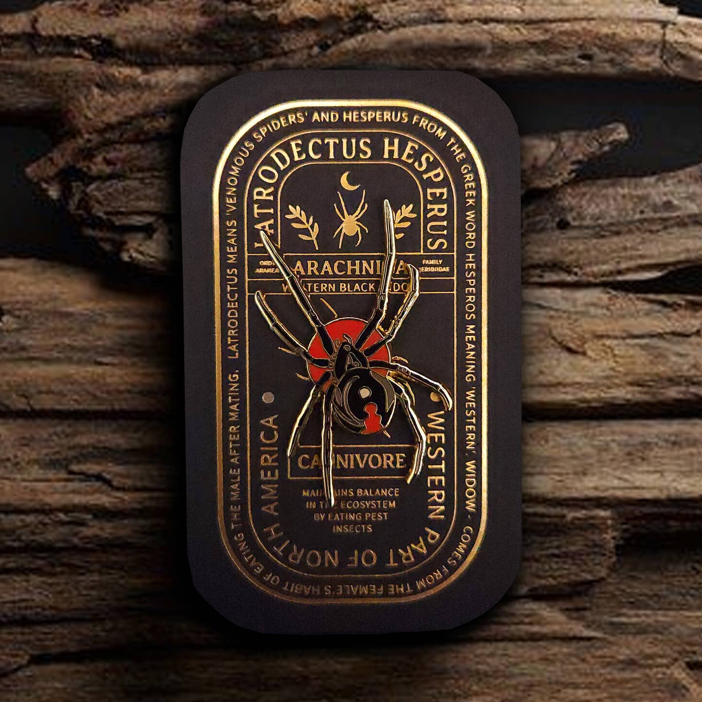 “Pinsect” Educational Insect Pins