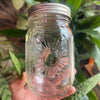 “Sunshine” Limited Edition Mason Jar - 16 oz