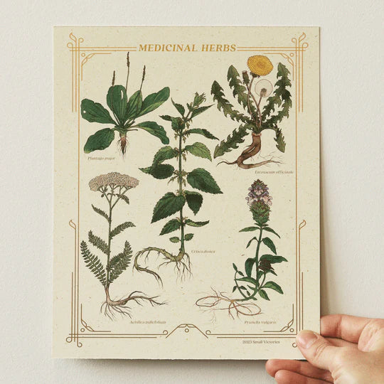 Small Victories Prints