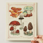 Small Victories Prints