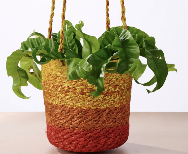 Jute Hanging Planters