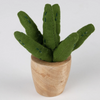 Handmade Mini Cotton Plants