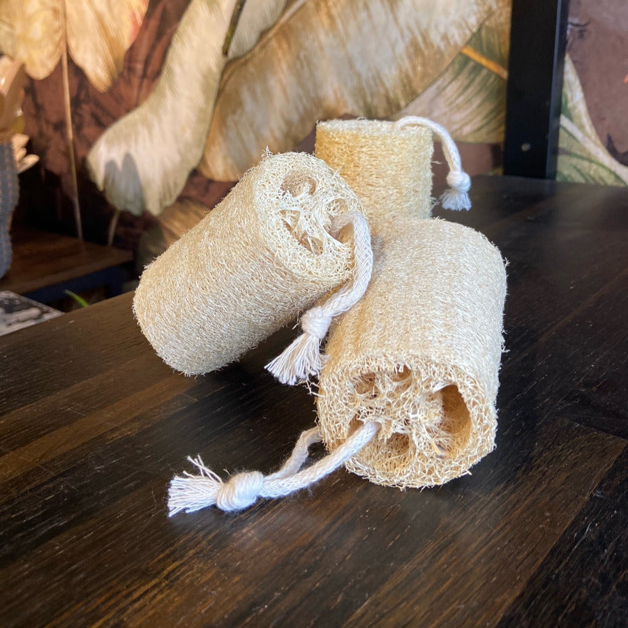 Natural Loofah Exfoliating Sponge - Off the Bottle Refill Shop
